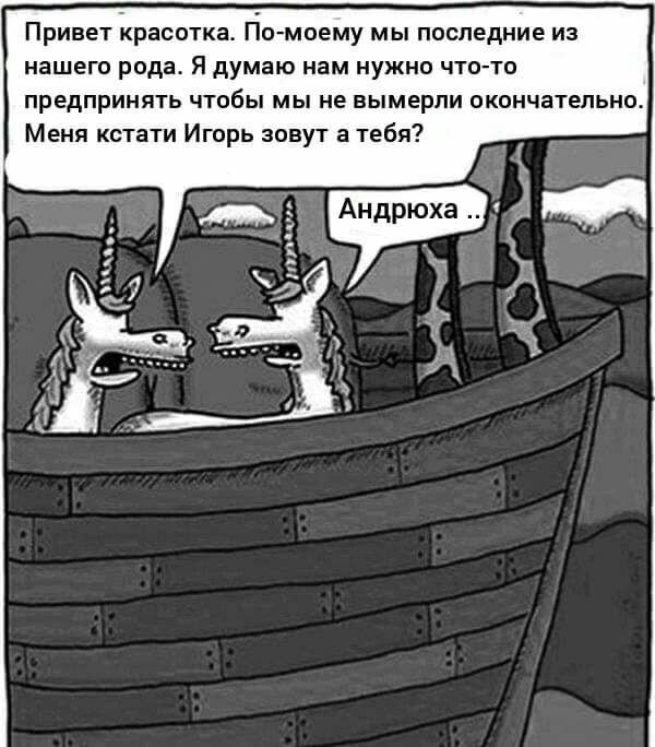 Привет красотка Гіп моему мы последние из нашего рода Я думаю нам нужно что то предпринять чтобы мы не вымерли окончательно Меня кстати Игорь зовут а тебя
