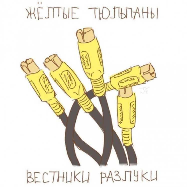 ЖЁЛТЫЕ тюльптхны Ыстныкы КЦ