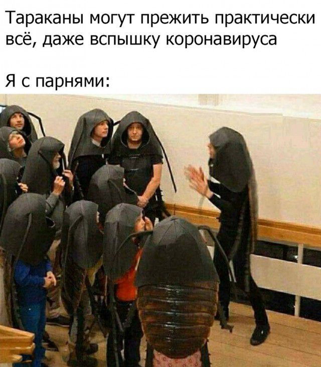 Тараканы могут прежить практически всё даже вспышку коронавируса Я с парнями