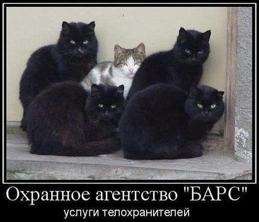 Охранное агентство БАРС услуги телохранителей