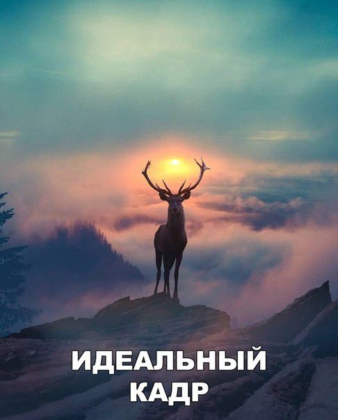 идЕАпьный КАдР