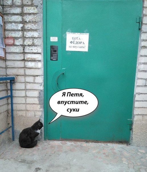 Я Петя впустпте суки