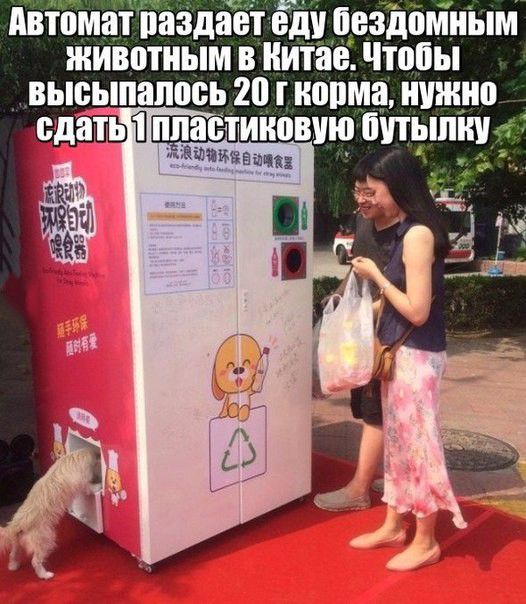 Автомат раздает еду Пездпмиым животным В питае Чтобы высылались 20 норма нужна сдать Ё платиновую бутылку ч дтшввщц