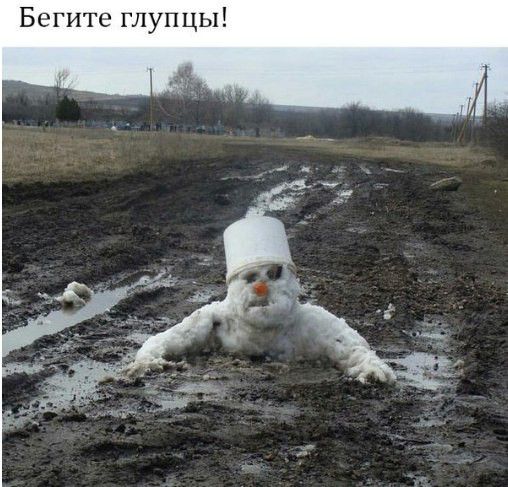 Бегите глупцы
