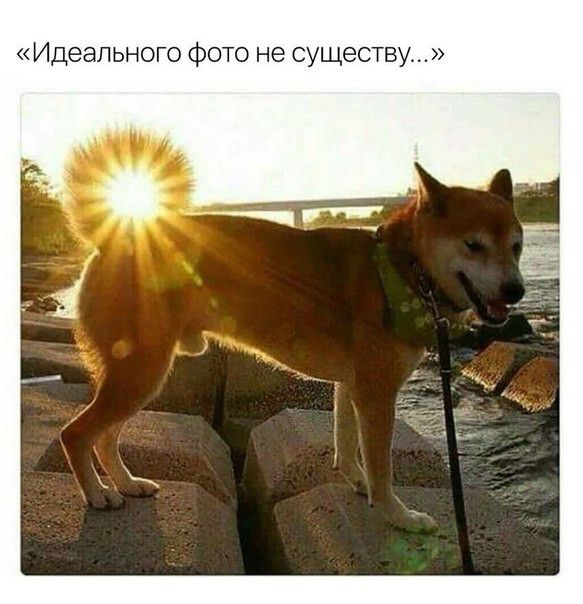 Идеального О не СУЩЕСТВУ