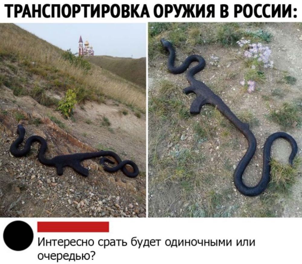 ТРАНСПОРТИРОВКА ОРУЖИЯ В РОССИИ Интересно срать будет одиночными или очередью