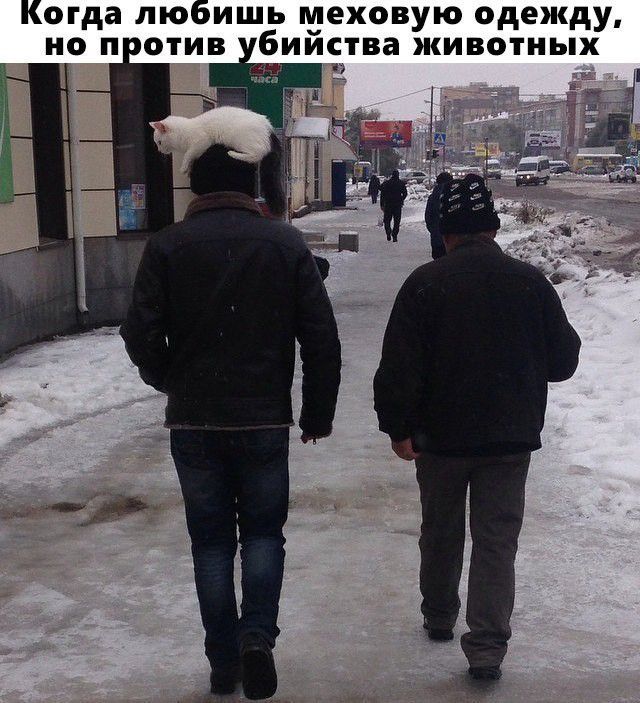 Когда любишь меховую одежду но п отив бийства животных