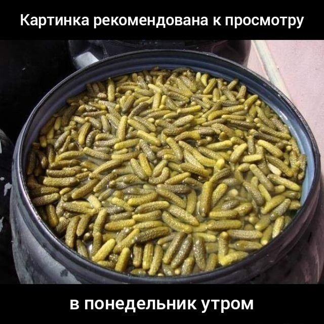 Картинка рекомендована к просмотру В ПОНЕДЕЛЬНИК УТРОМ