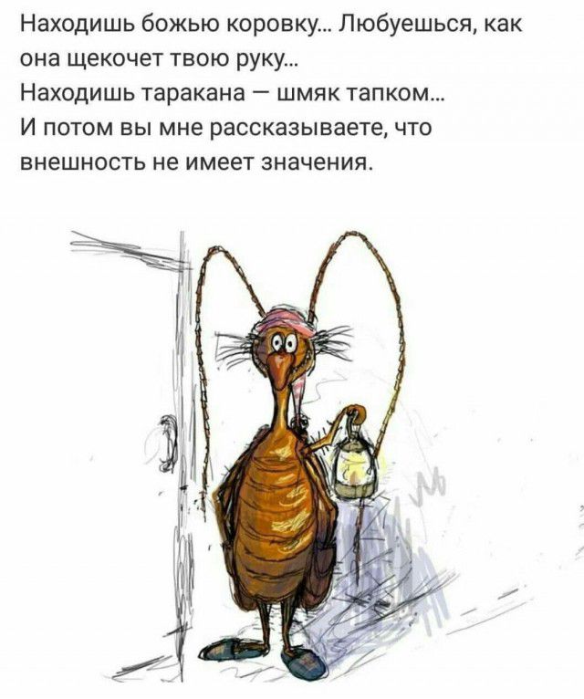 Находишь божью коронку Любуешься как она щекочет твою руку Находишь таракана шмяк тапком И потом вы мне рассказываете что внешность не имеет значения