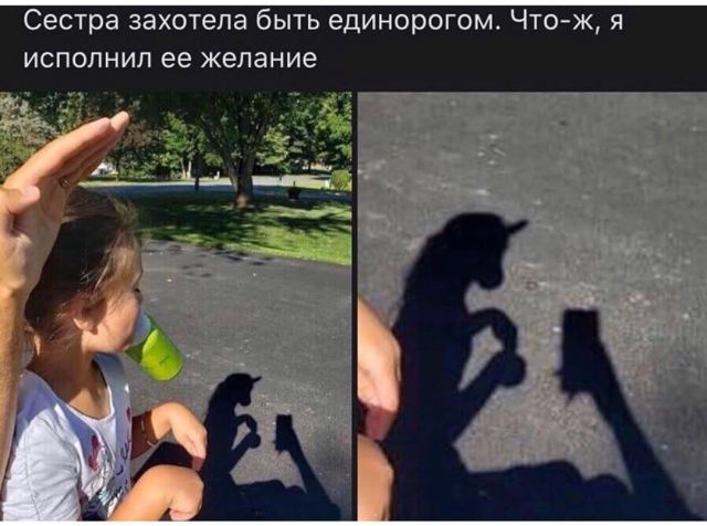 Сестра захотела быть единорогом Что ж я исполнил ее желание