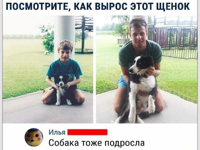 ПОСМОТРИТЕ КАК ВЫРОС ЭТОТ ЩЕНОК Собака тоже подросла