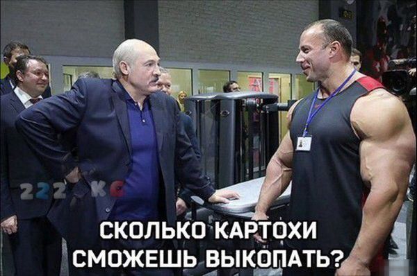 СКОЛЬКО КАРТОХИ СМОЖЕШЬ ВЬ_К0ПАТЬ