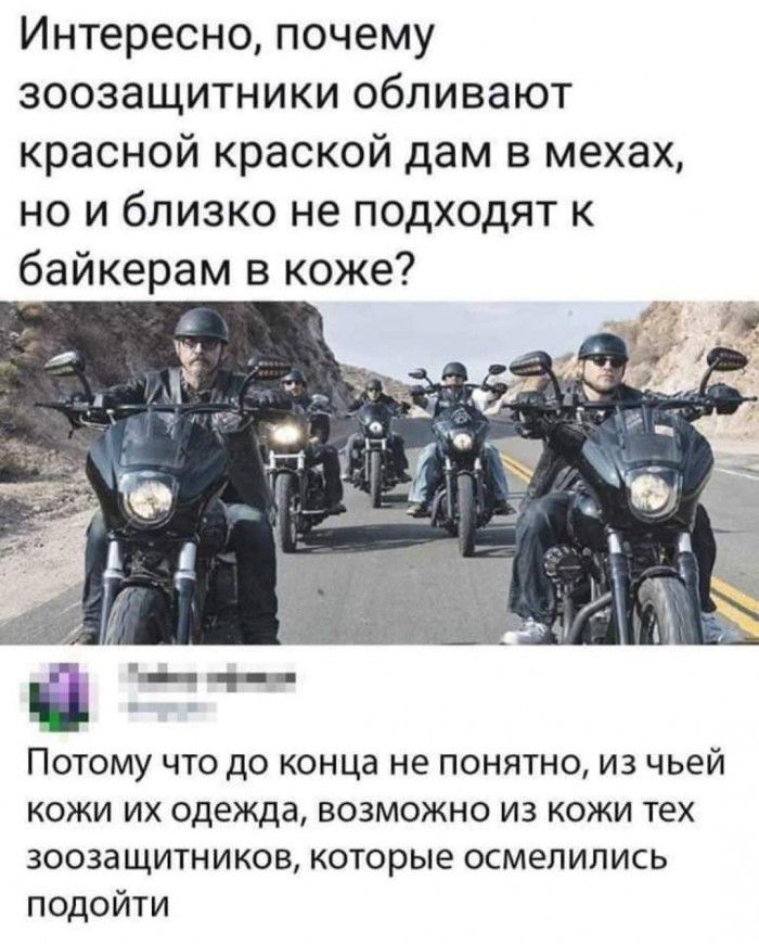 Интересно почему зоозащитники обливают красной краской дам в мехах но и близко не подходят к байкерам в коже Потому что до конца не понятно из чьей кожи их одежда возможно из кожи тех зоозащитников которые осмелились подойти