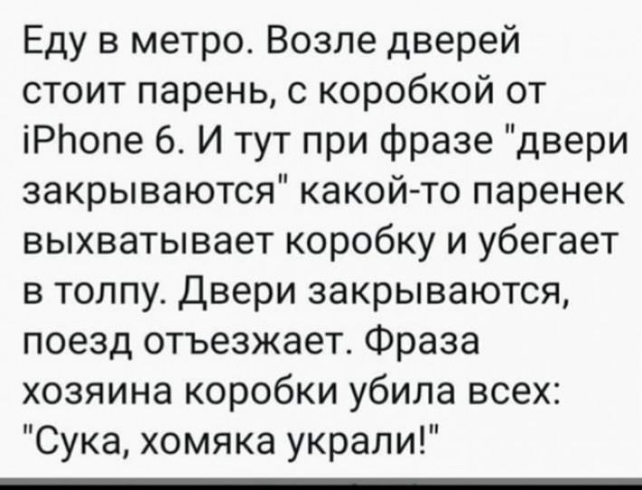 Еду в метро Возле дверей стоит парень с коробкой от іРЬопе 6 И тут при фразе двери закрываются какой то паренек выхватывает коробку и убегает в толпу двери закрываются поезд отъезжает Фраза хозяина коробки убила всех Сука хомяка украли