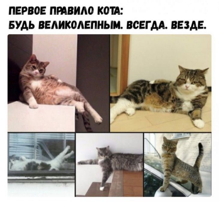 ПЕРВОЕ ПМВИАО КОИ БУАЬ ВЕАИКОАЕПНЬМ ВСЕГДА ВЕЗДЕ