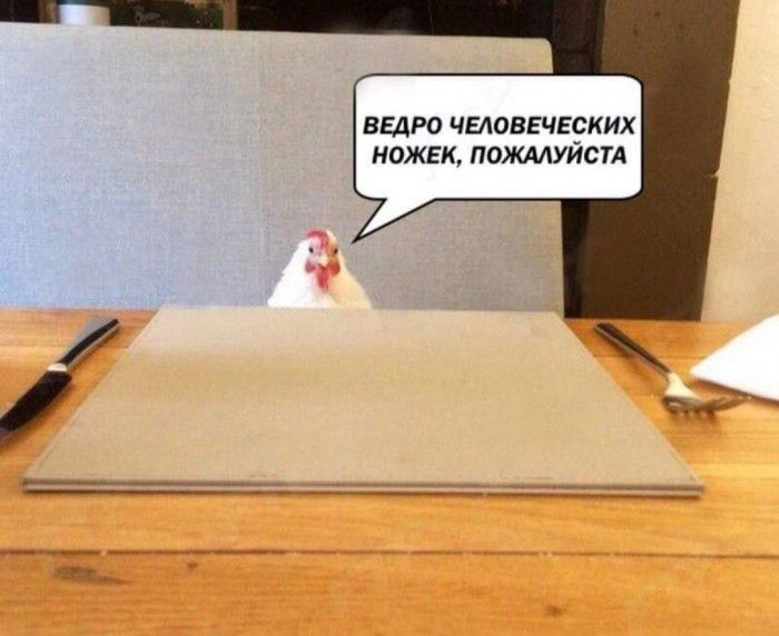 ВЕДРО ЧЕЛОВЕЧЕЁКИХ НОЖЕК ПОЖАЛУИСТА