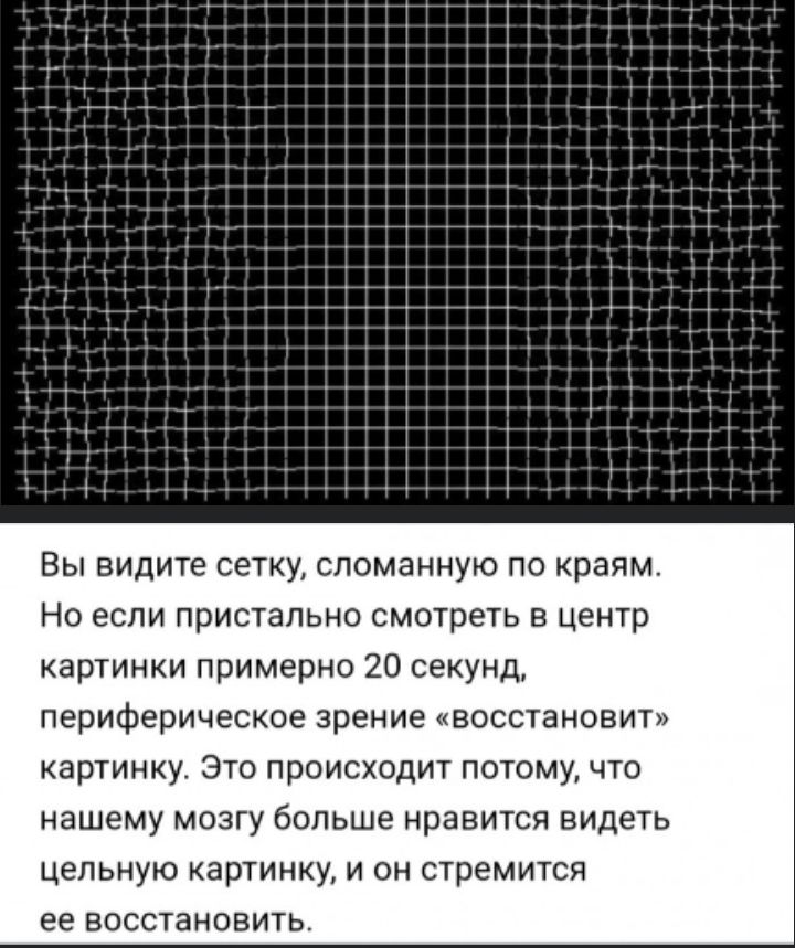 Вы види е сетку сломанную по краям Но если пристально смотреть в центр картинки примерно 20 секунд периферическое зрение восстановит картинку Это происходит потому что нашему мозгу больше нравится видеть цельную картинку и он стремится ее восстановить
