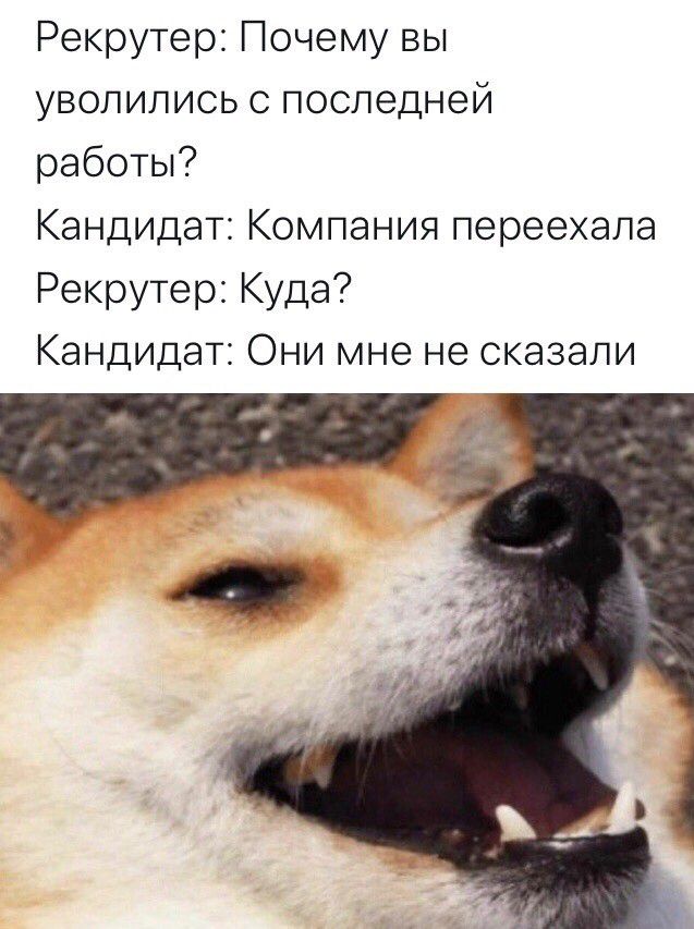 Рекрутер Почему вы уволились с последней работы Кандидат Компания переехала РекрутерКуда Кандидат Они мне не сказали