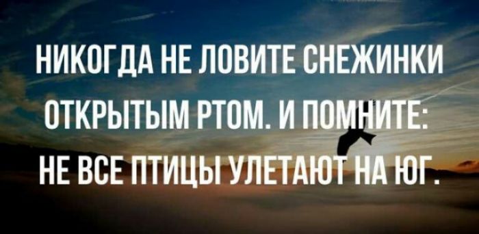 ними не ловите снежинки открытым ртомги НЕ все птиць