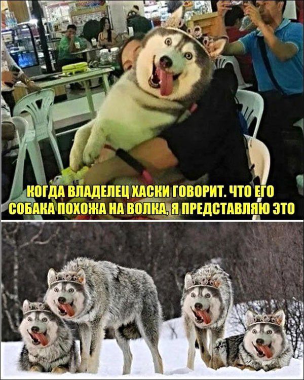пгт и и П