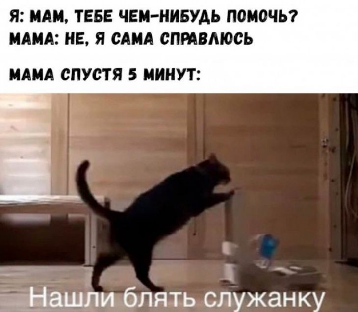 Я МАМ ТЕБЕ ЧЕМ НИБУДЬ ПОМОЧЬ МАМА НЕ Я САМА СПРАВМОСЬ МАМА СПУСТЯ 5 МИНУТ
