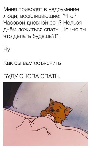 Меня приводят в недоумение люди восклицающие Что Часовой дневной сон Нельзя днём ложиться спать Ночью ты что делать будешь1 НУ Как бы вам объяснить БУДУ СНОВА СПАТЬ
