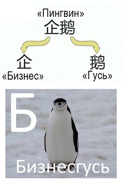 ЁЁН 65 Ч Е ЁЁ Бизнес Гусь Б Бизнесгусь