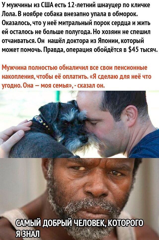 У мужчины из США есть 12 летний шнауцер по кличке Лола В ноябре собака внезапно упала в обморок Оказалось что у неё митральный порок сердца и жить ей осталось не больше полугода Но хозяин не спешил отчаиваться0н нашёл доктора из Японии который может помочь Правда операция обойдётся в 45 тысяч