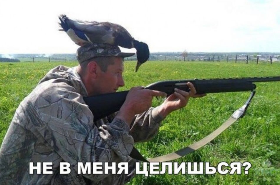 ё не в меня ЦЁПишвфя