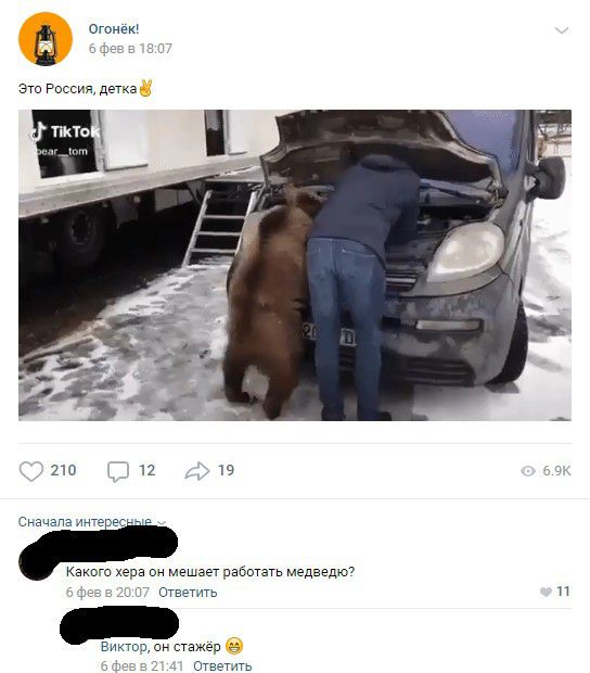 Огоиею Эти России детка 210 12 9 нацизма Какого хера он мешает работать медведю с Ответь Бишоп он Стажер _ Ответь