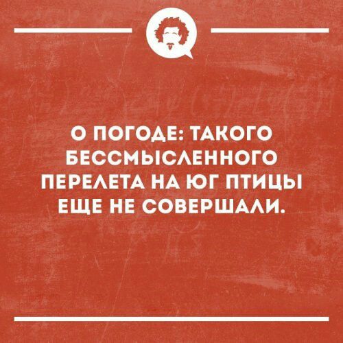 О ПОГОАЕ ТАКОГО БЕССМЫСАЕННОГО ПЕРЕАЕТА НА ЮГ ПТИЦЫ ЕЩЕ НЕ СОВЕРШААИ