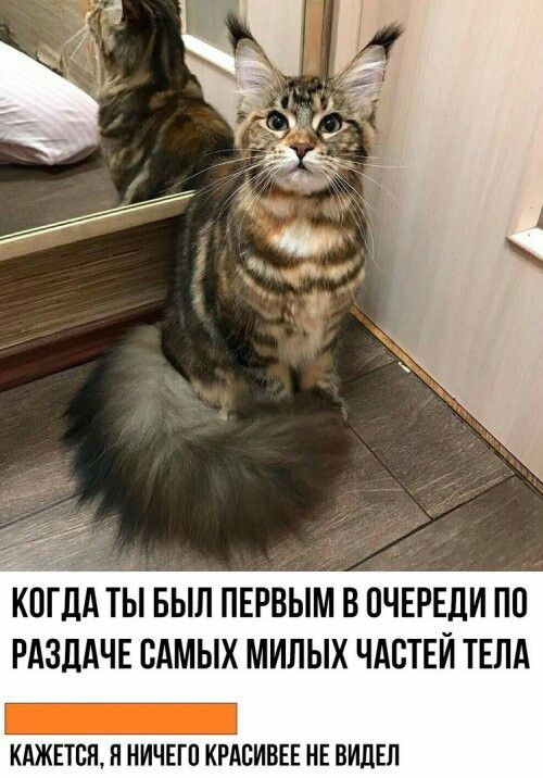 КПГДА ТЫ БЫЛ ПЕРВЫМ В ОЧЕРЕДИ ПП РАЗЛАЧЕ САМЫХ МИЛЫХ ЧАСТЕЙ ТЕЛА _ кджвтсн п ничвгп красивы нв видвл