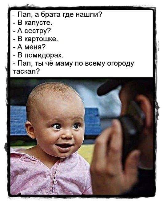 Пап а брата где нашли В капусте А сестру В картошке А меня В помидорах Пап ты чё маму по всему огороду таскал