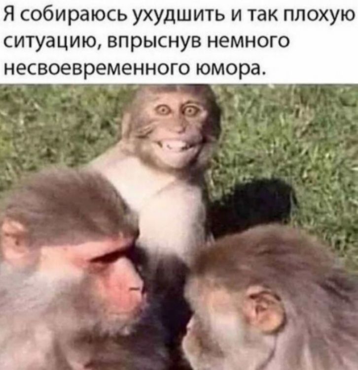 Я собираюсь ухудшить и так плохую СИТУЗЦИЮ впрыснув НЕМНОГО несвоевременного юмора