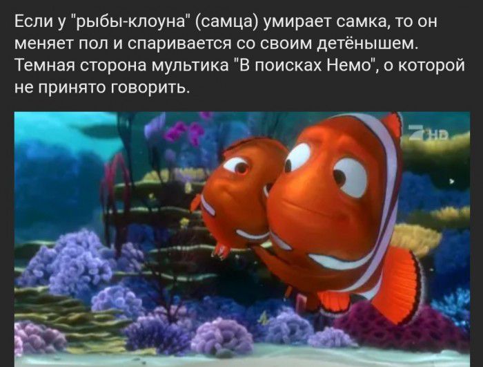 Если у рыбы клоуна самца умирает самка то он меняет пол и спаривается со своим детёнышем Темная сторона мультика В поисках Немо о которой не принято говорить