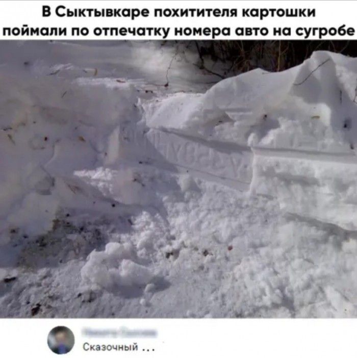 в Сыктывкаре похитителя картошки поймали по отпечатку номера от на сугробе Сказочный