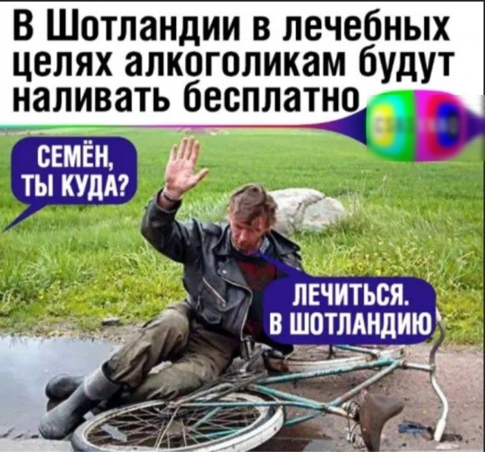 В Шотландии в лечебных целях алкоголикам будут наливать бесплатно Ёт_ К СЕМЕН ТЫ КУДА жа лечиться в шотллншю д_ _ 714