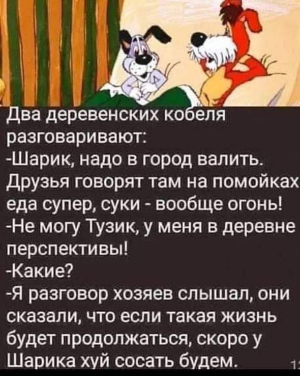 Два деревенских ко е разговаривают Шарик надо в город валить Друзья говорят там на помойках еда супер суки вообще огонь Не могу Тузик у меня в деревне перспективьп Какие Я разговор хозяев слышал они сказали что если такая жизнь будет продолжаться скоро у Шарика хуй сосать будем 1