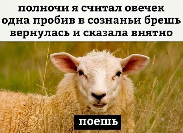 полночи я считал овечек одна пробив в сознаньи брешь вернулась и сказала внятно