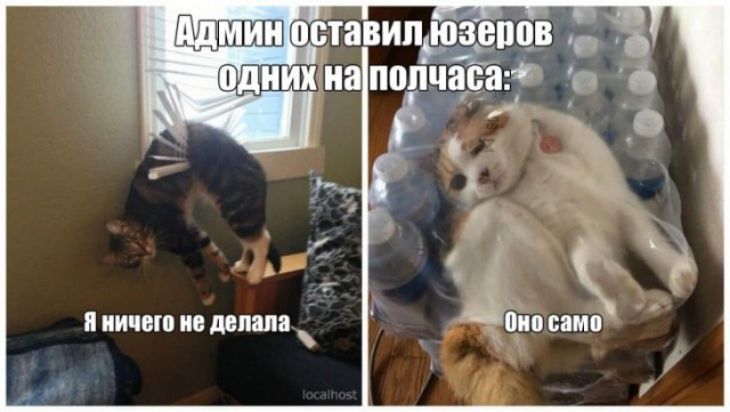 шзЁ