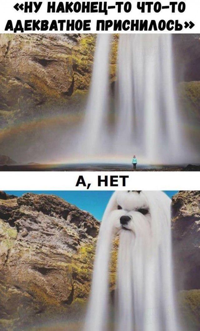 НУ НАКОНЕЦ ТО что то ААЕКВАТНОЕ ПРИОНИМЮЬ