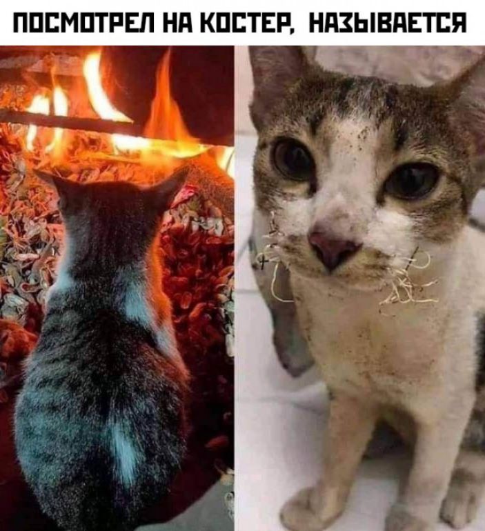 ППЕМПТРЕП Нд КПЕТЕР НАЗЫВАЕТСЯ