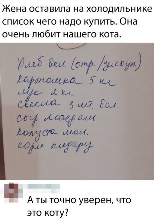 Жена оставила на холодильнике список чего надо купить Она очень ЛЮбИТ нашего кота А ты точно уверен что это коту
