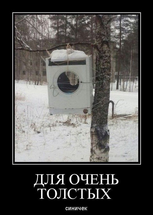ДЛЯ ОЧЕНЬ ТОЛСТЫХ синичек