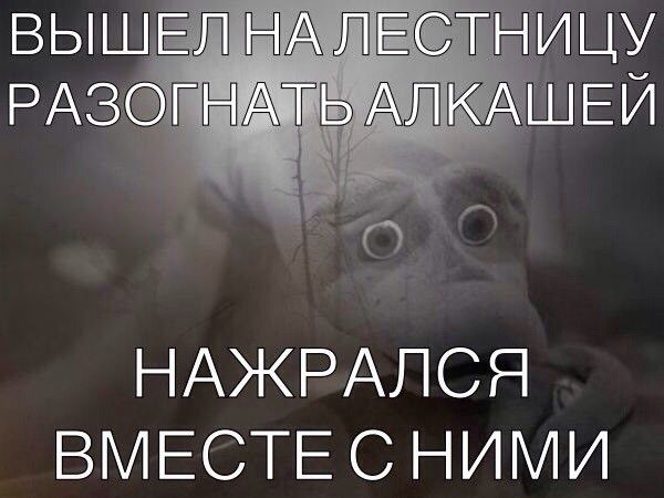 ВЫ ЩЕП НА ПЕ НИ ЦУ НАЖРАЛСЯ ВМЕСТЕ С НИМИ