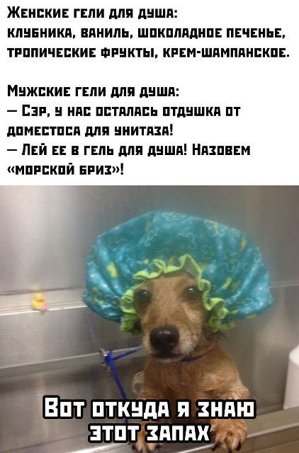ЖЕНСКИЕ ГЕЛИ для ЦНШП ШШБНИКП ППНИПЪ ШШШПМШПЕ ПЕЧЕНЬЕ ТРППИЧЕЕКИЕ ПУНКТЫ КРЕМ ШПМППНЕКПЕ Мнжпки гнпи для дншя Цзи нм питались птпншкп пт ППМЕЕТПЕП ШШ ИИТПЗП Пнй гель для дыши Някпввм мпипкпй нии 1 ЧВпт пткндп я ндш ЗТПТ ЗПППХ А