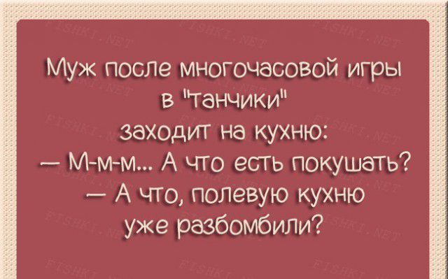 Муж после многочасовой игры в ганчики заходит на кухню Ммм А что есгь покушать А что полввую кухню уже разбомбили