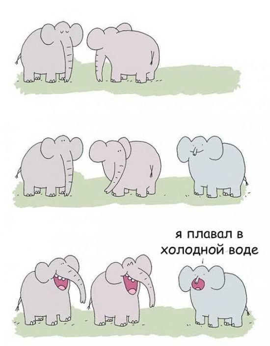 я плавал в холодной воде А