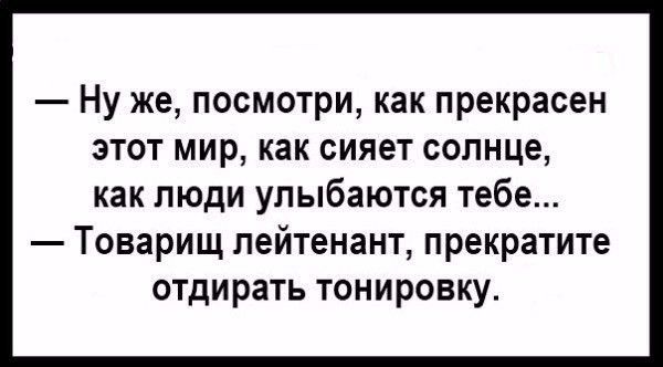 Ну же посмотри как прекрасен этот мир как сияет солнце как люди улыбаются тебе Товарищ лейтенант прекратите отдирать тонировку