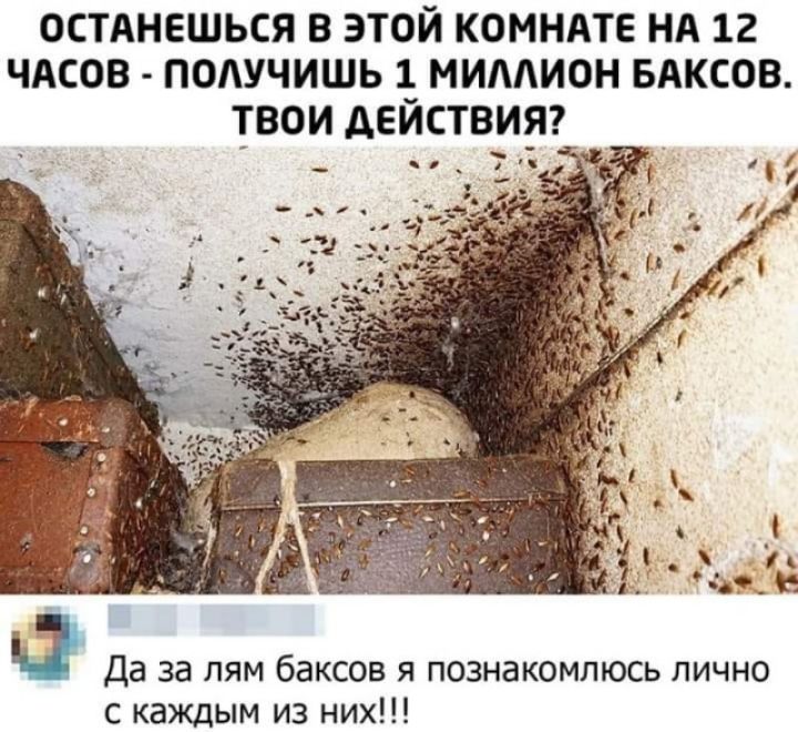 ОСТАНЕШЬСЯ В ЭТОЙ КОМНАТЕ НА 12 ЧАСОВ ПОАУЧИШЬ 1 МИААИОН БАКСОВ ТВОИ дЕЙСТВИЯ Да за лям баксов я познакомлюсь лично с каждым из них